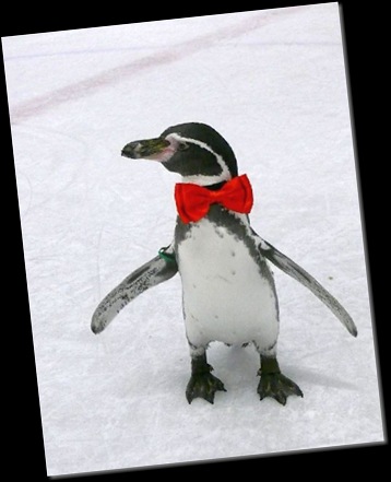 Dippy on ice (resized)