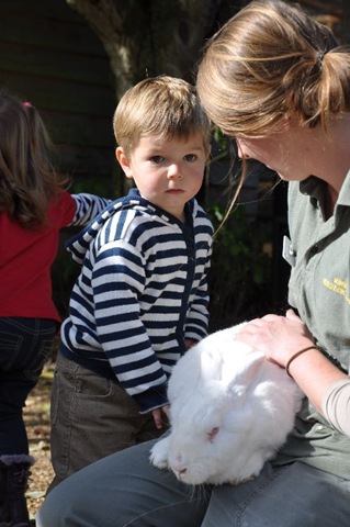 [Zach, Fern & Mr Fluffy 2 (resized)[4].jpg]