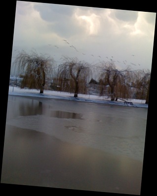 Winter scene at lower lake