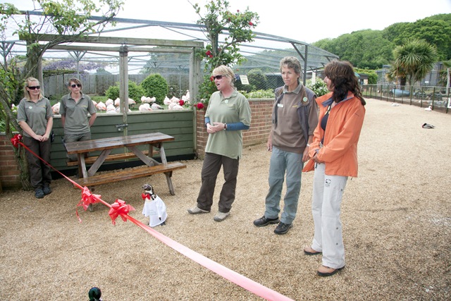[IWWF2011-005[8].jpg]