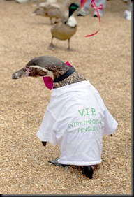 IWWF2011-009