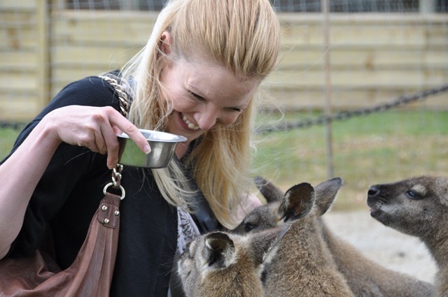 [Kate with Wallabies 0475 - Copy[7].jpg]