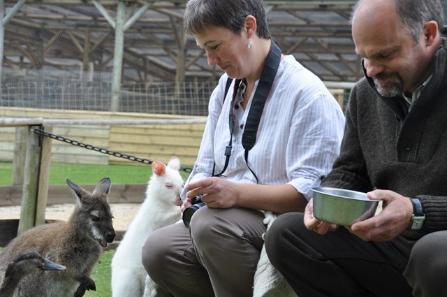 [Rachel & Simon feeding Wallabies (& Duck!) DSC_0709[12].jpg]