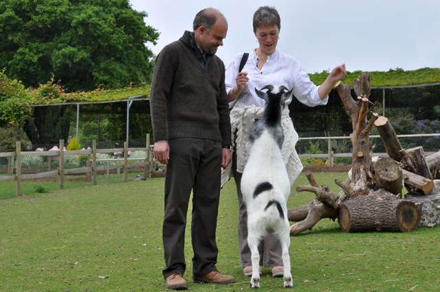 [Simon & Rachel with Olly the Goat DSC_0706[4].jpg]