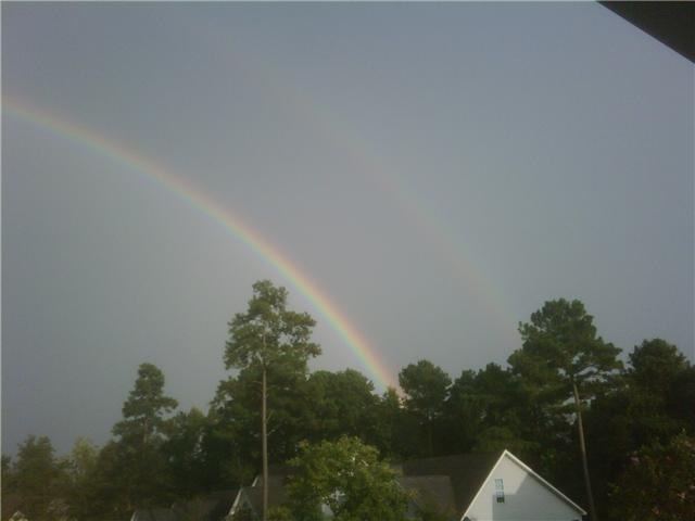 [Double Rainbow[3].jpg]
