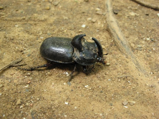 Паттайя. Пакет. 22.08-05.09