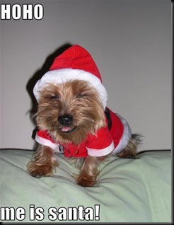 ho-ho-me-is-santa-cute-puppy-pictures-costume-loldogs