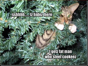 funny-pictures-cat-hides-in-christmas-tree-and-waits