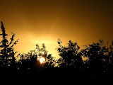 DSCF5123.JPG