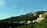 DSCF5876.jpg