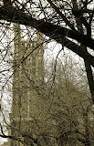 DSCF6001.jpg
