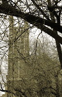DSCF6001.jpg