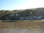 IMG_4650.JPG