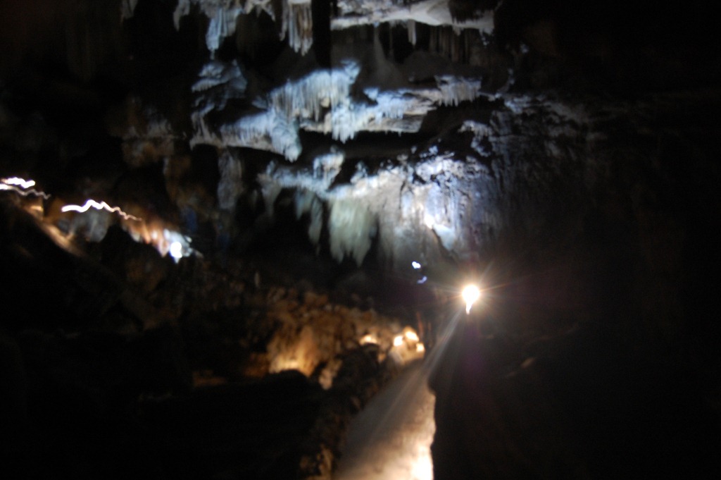 [DSC_4522[4].jpg]