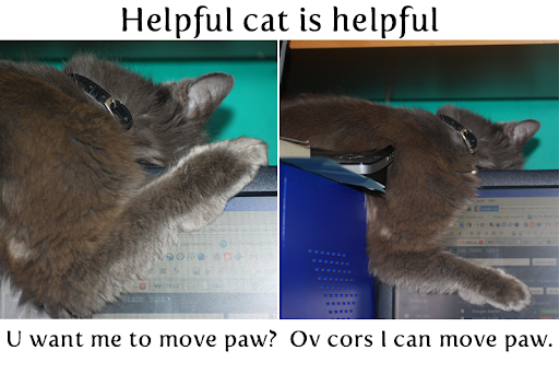 Helpful Cat is Helpful cat lying across top of computer monitor with paw drooping down over screen