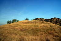 DSC07954.JPG Photo