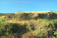 DSC07956.JPG Photo