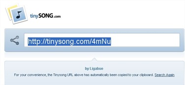 tinySong.com_ligabue_viva