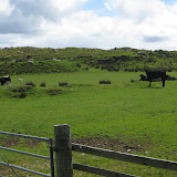 IMG_2485.JPG
