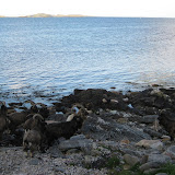IMG_2504.JPG