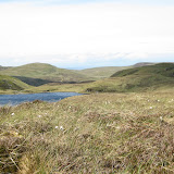 IMG_2555.JPG