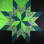 Star of Bluegrass