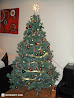 Jolly December photo 10