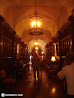 Casa Loma photo 12