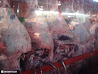 St. Lawrence Market photo 18