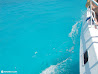 Isla Mujeres photo 31