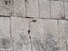 Mayan Ruins photo 24