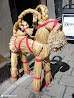 Gamla Stan photo 13