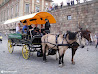 Gamla Stan photo 21