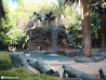 Las Vegas photo 124