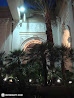 Las Vegas Nights photo 54