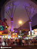 Las Vegas Nights photo 57