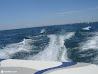 Lake Ontario photo 11