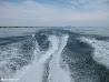 Lake Ontario photo 47