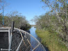 Everglades photo 14