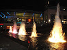 Niagara Bachelor photo 7