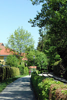 DSC_0228.JPG Photo