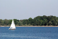 DSC_0238.JPG Photo