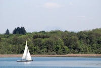 DSC_0231.JPG Photo