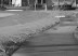 100_16111.JPG