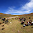Bolivie &ndash; Une bonne grosse pause dans du gazon