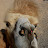 Chine &ndash; Tu me cherches des noises ?