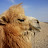 Chine &ndash; Bon, si c'est pour une photo...