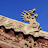 Chine &ndash; 