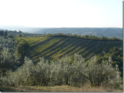 Tuscany 414