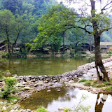 – 村寨与树 – 村寨与树